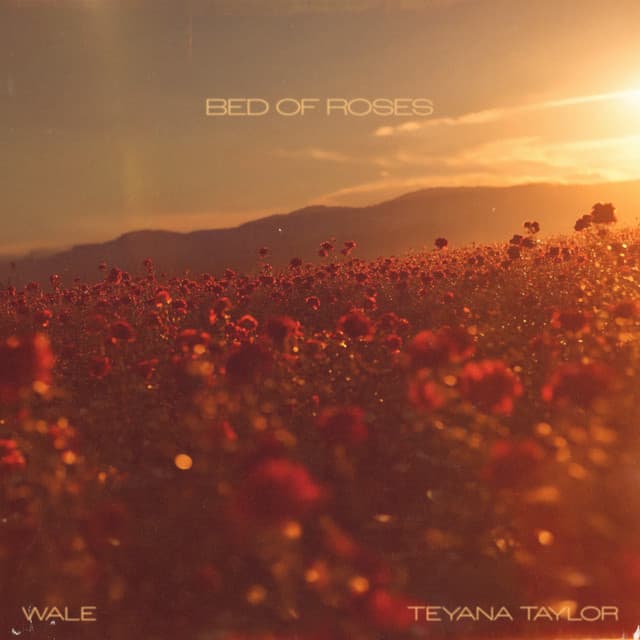 Bed of Roses (with Wale)